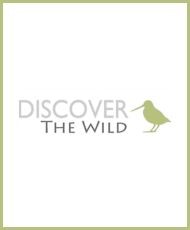 Discover the wild