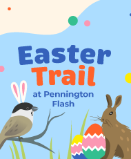 Poster featuring Easter eggs, a rabbit and a bird