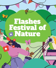 Flashes Festival of Nature
