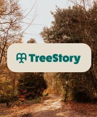 Treestory logo in front of a background of trees